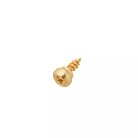 500 vis de fixation de pare-closes - acier zingué blanc - Ø4x15,8mm - SCELL-IT - PVCC74