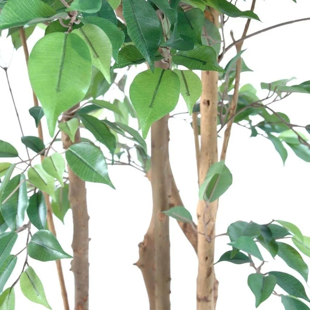 Ficus natasja artificiel multitroncs bois en pot h180cm vert