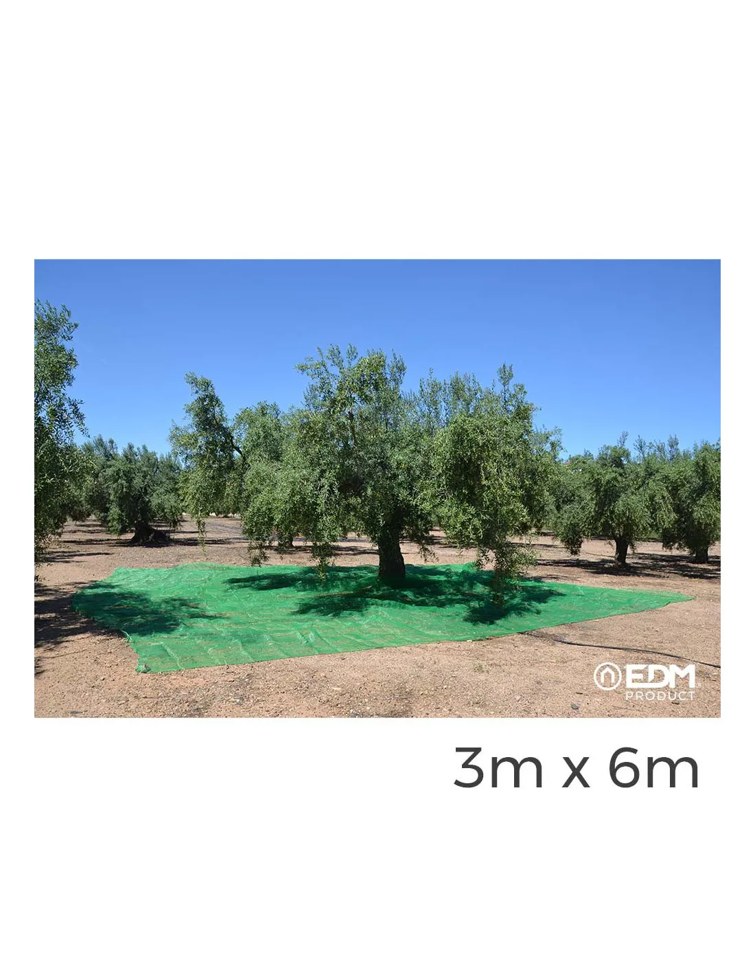 Manteau Pour La Collecte Des Fruits 3x6m Couleur Verte - 75108